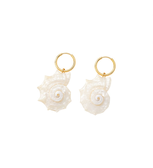 NADINE SHELLS